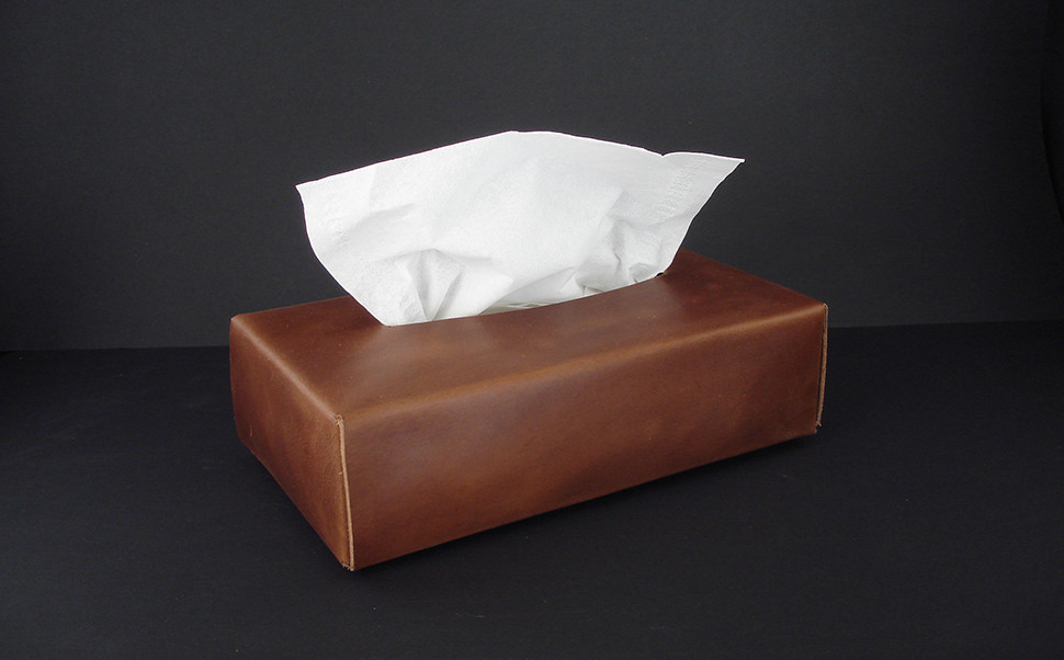No Sew Tissue Bag Project No Sew Tissue Bag Project